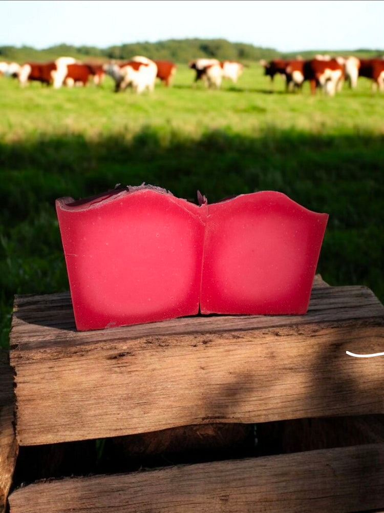 100% Tallow Bars