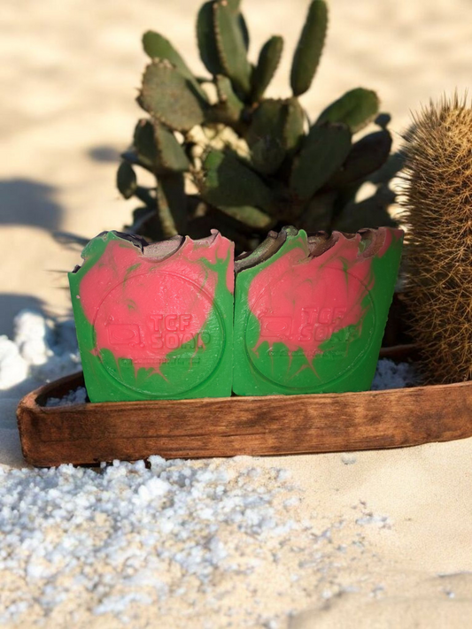 Cactus & Sea Salt Tallow Bar